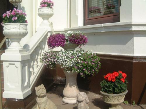 Bed & Breakfast Manor House B And B