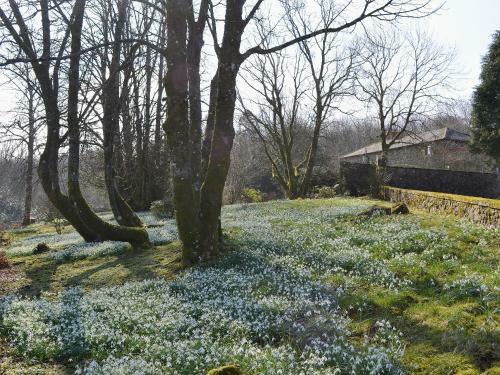 Laundry Cottage