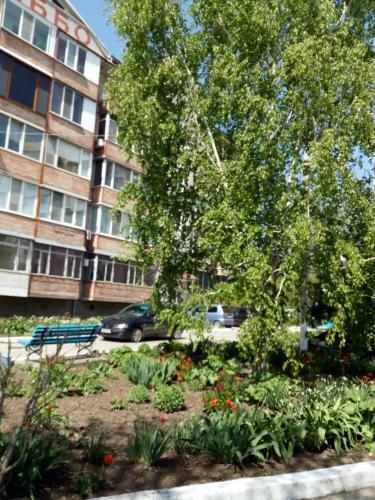 Large Apartment Near Sea