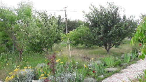 Hostal Villa Blau