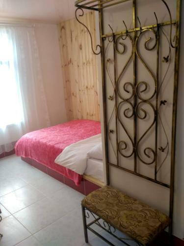 Mini-hotel Kamianets