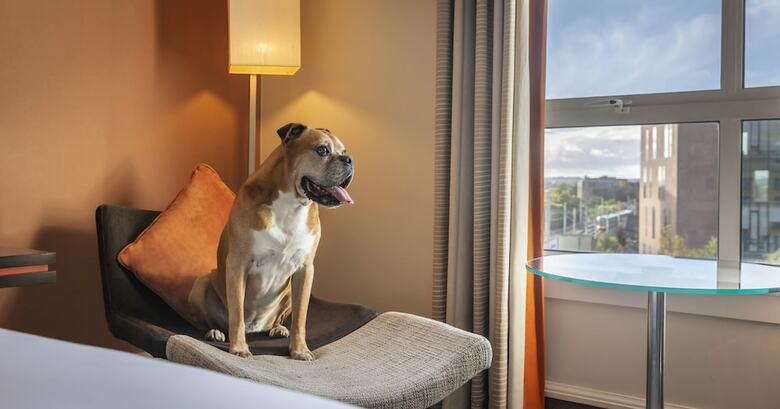 Hotel Hilton Dublin City