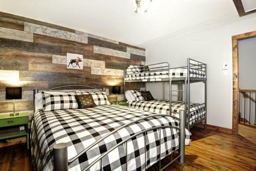 Chalets Alpins -27 Chemin Blanc