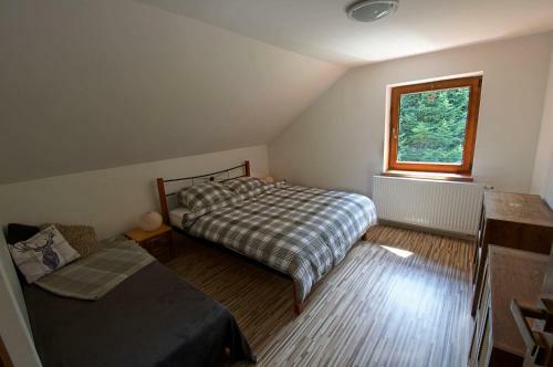 Stag House - Jelen� Dom