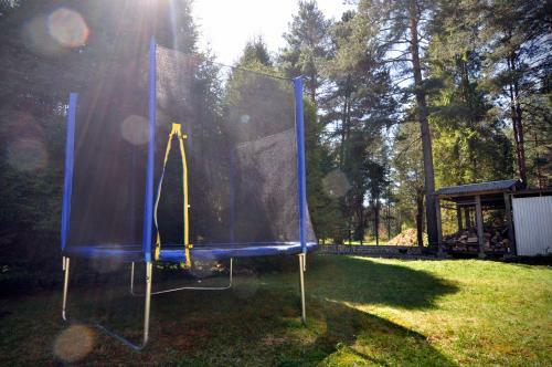 Stag House - Jelen� Dom