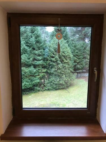 Stag House - Jelen� Dom