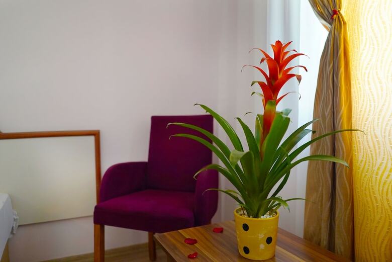 Hotel Ergun