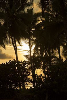 Hotel Clandestino Beach Resort