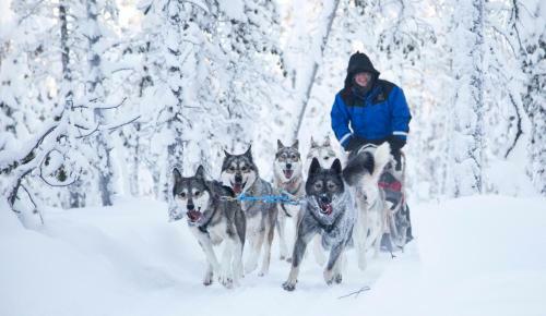 Wilderness Hotel Nangu & Igloos