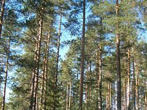 Holiday Home Hietaranta
