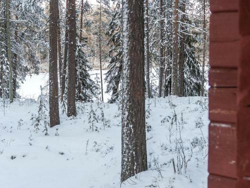 Holiday Home Viipusj�rvi 11