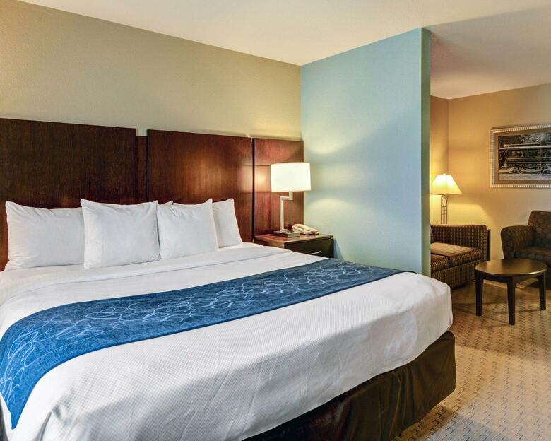 Hotel Comfort Suites