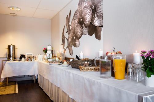 Hotel �lvsj�