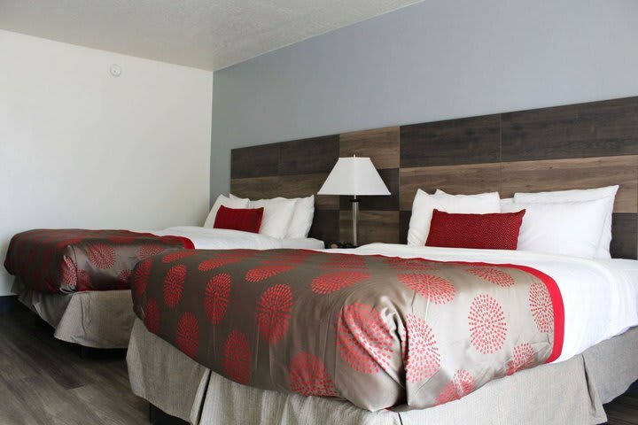 Hotel Quality Inn & Suites