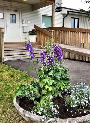 Albergue Turistg�rden I Norrk�ping