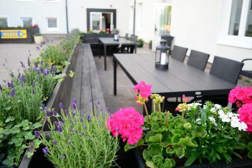 Hostal Alkoven Logi