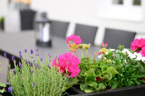 Hostal Alkoven Logi