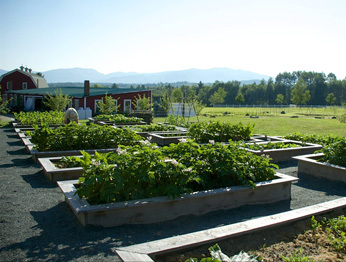 Hotel Mountain View Grand Resort & Spa
