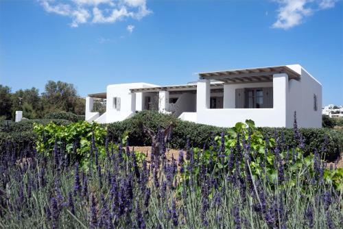Apartamento Golden Sand Paros