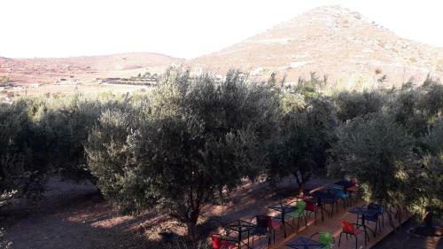 Apartamento Naxos Olive & Home