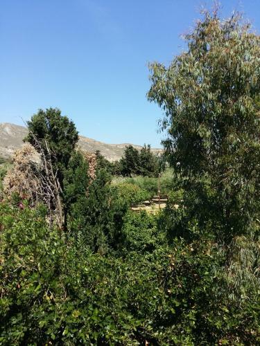 Apartamento Naxos Olive & Home