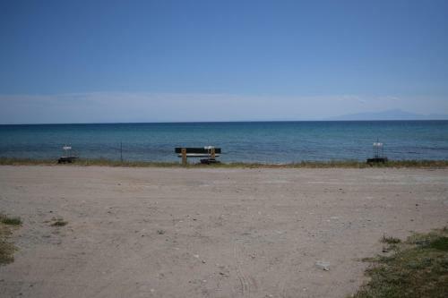 Sozopoli Hawaii Beach