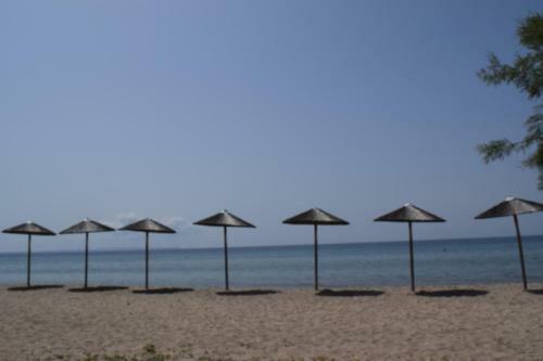 Sozopoli Hawaii Beach