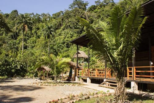 Kuyana Amazon Lodge