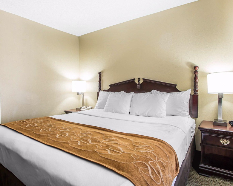 Hotel Comfort Suites Lansing