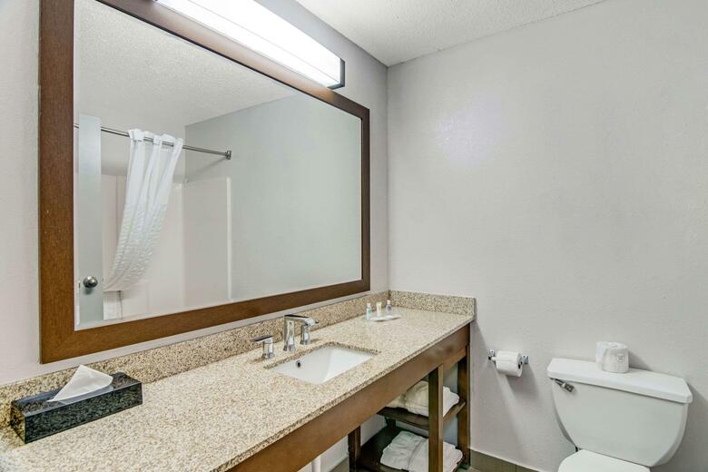 Hotel Comfort Suites Lansing