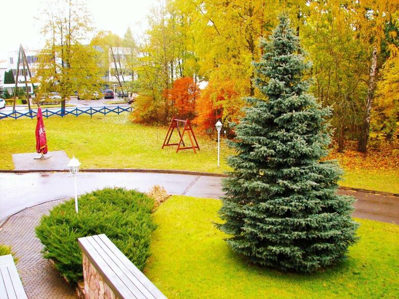 Best Western Hotel Mara