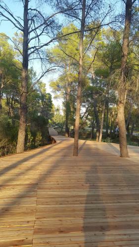 Hostal Fori Vodo