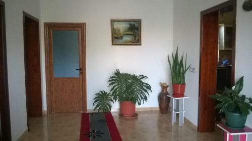Hostal Guest House Liri