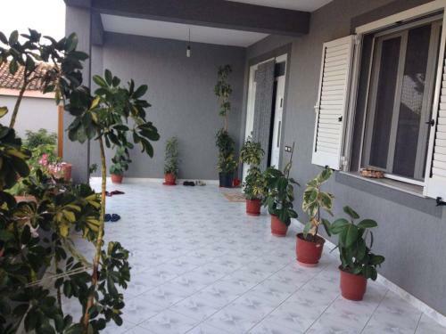 Hostal Guesthouse Anila