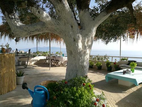 Hostal Piqeras Relax Guest House