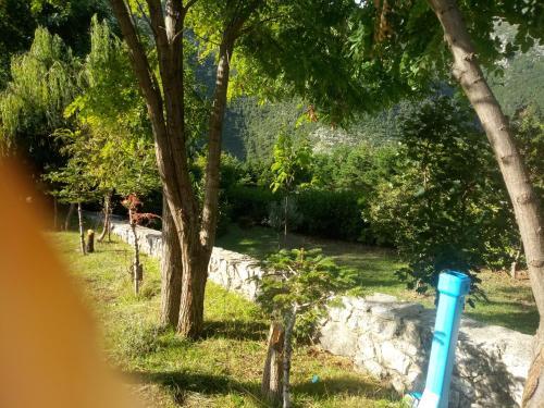 Hostal Geis Guesthouse