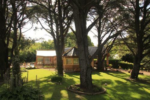 Lodge Complejo Kalem