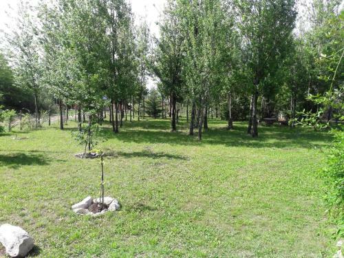 Caba�as Vientos Del Sur