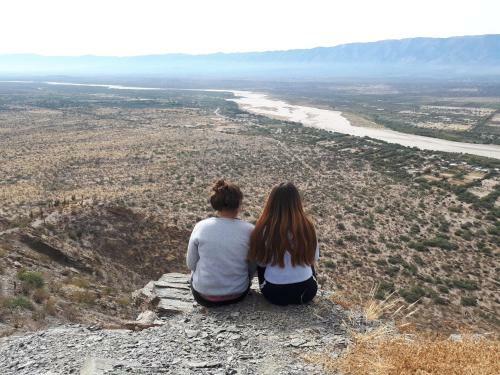 Apart El �rbol