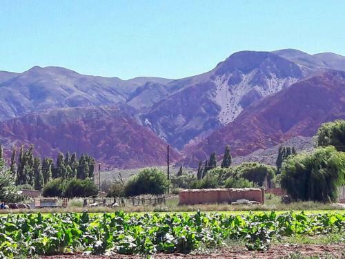 Agroturismo Rincon De Uquia