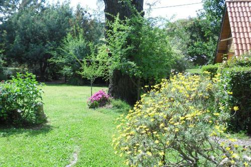 Lodge Caba�as �uke Mapu