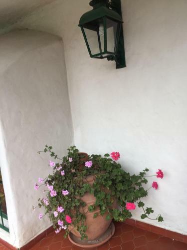 Agroturismo El Aljibe
