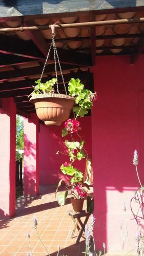 Agroturismo Oasis Campero