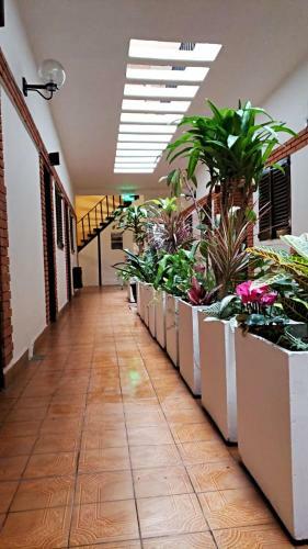 Hotel Cabildo