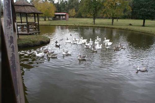 Apartamento La Justina Club De Campo