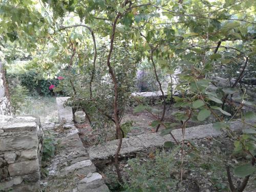 Apartamento Village Cottages Bakuli