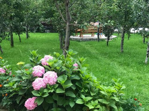 Hostal Guest House Sabriu