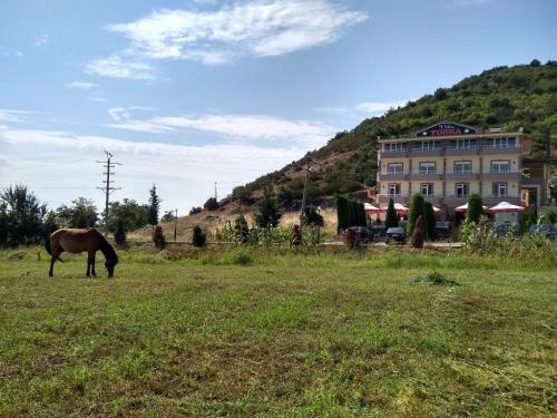 Hotel Toska