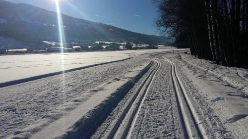 Apartamento Ferienwohnung Menthof