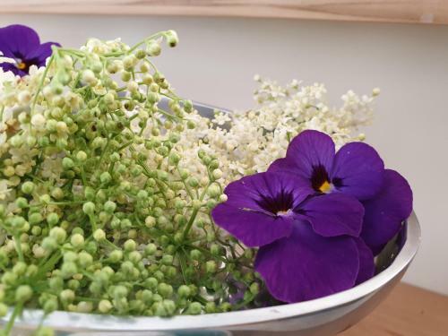 Bed And Breakfast Mittelk�rnten